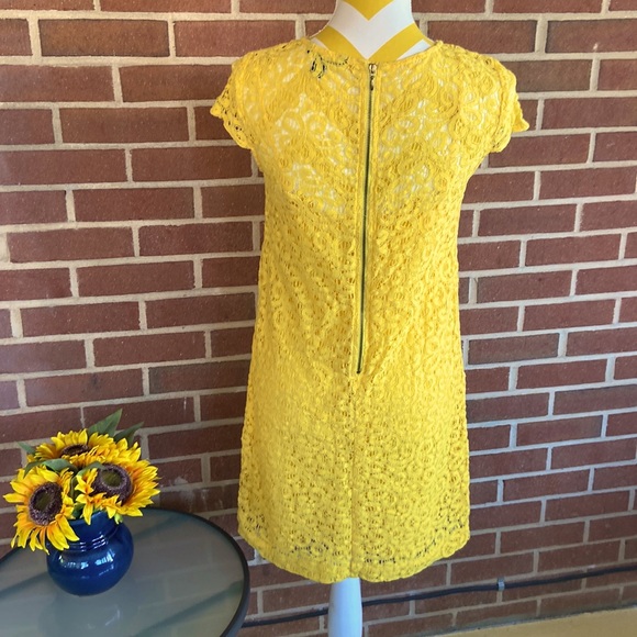 Tommy Hilfiger Sunshine Yellow Lace Dress - Picture 5 of 14